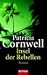 Insel Der Rebellen (Andy Brazil, #3)