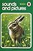 Sounds and Pictures. Book 3 (Ladybird Key Sounds Series)