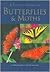 A Pocket Guide to Butterflies & Moths