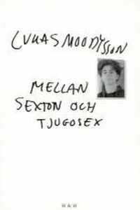 Mellan sexton och tjugosex (Paperback)