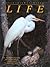 Life