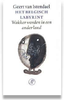 Het Belgisch labyrint: Wakker worden in een ander land (Paperback)