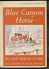 Blue Canyon Horse