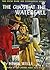 The Ghost at the Waterfall (Vicki Barr Flight Stewardess, #11)