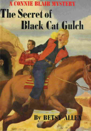 The Secret of Black Cat Gulch (A Connie Blair Mystery, #4)
