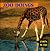 ZOO DOINGS (Zoo's Who Board Books)