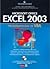 Microsoft Excel 2003. Programování ve VBA