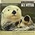 The World of the Sea Otter