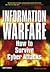 Information Warfare: How To Survive Cyber Attacks