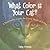 What Color is Your Cat?: A Personality Guide for Every Shade of Feline