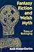 Fantasy Fiction and Welsh Myth by Kath Filmer-Davies