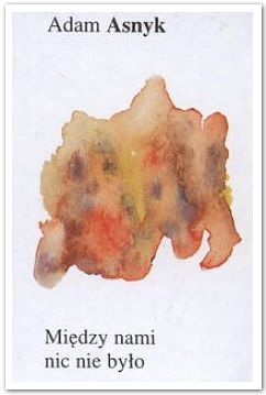 Między nami nic nie było (Hardcover)