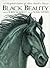 Black Beauty Storybook Edition by Robin McKinley