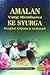 Amalan yang Membawa ke Syurga Mengikut Al-Quran & As-Sunnah