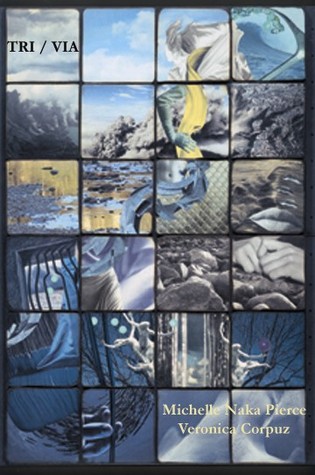 TRI / VIA (Paperback)
