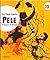 Seri Tokoh Populer :  Pele ...