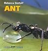 Ant
