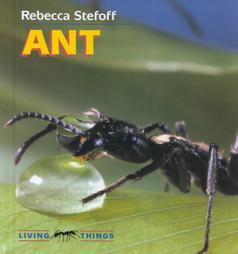 Ant (Living Things)