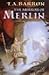 The Mirror of Merlin