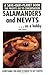 Salamanders and Newts as a Hobby (Save Our Planet)