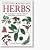 Herbs (Eyewitness Handbooks)