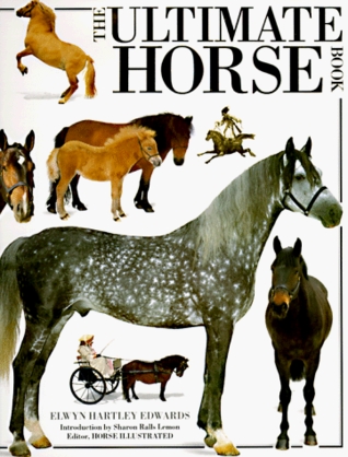 The Ultimate Horse Book (Hardcover)