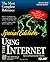 Using the Internet