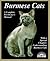 Burmese Cats: Everything About Acquisition, Care, Nutrition, Behavior, Health Care, and Breeding (Complete Pet Owner's Manual)
