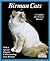Birman Cats: Everything Abo...