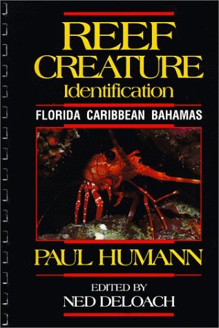 Reef Creature Identification: Florida Caribbean Bahamas (Paperback)