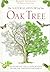 The Natural History of the Oak Tree: An  Intricate Visual Exploration of the Oak and Its Environment