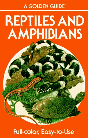 Reptiles and Amphibians (Paperback)