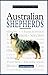 A New Owner's Guide to Australian Shepherds