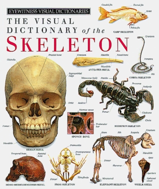 The Visual Dictionary of the Skeleton (Eyewitness Visual Dictionaries)