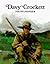 Davy Crockett: Young Pioneer