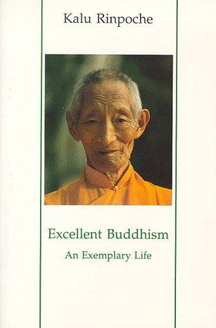 Excellent Buddhism: An Exemplary Life (Paperback)