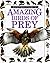 Amazing Birds of Prey (Eyew...
