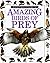 Amazing Birds of Prey (Eyewitness Juniors #24)