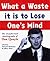 What a Waste It Is to Lose One's Mind: The Unauthorized Autobiography of Dan Quayle