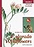 Plains & Foothills - Guide to Colorado Wildflowers Volume 1 by G.K. Guennel Plains & Foothills - Guide to Colorado Wildflowers Volume 1 by G.K. Guennel