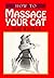 Massage Your Cat by Jane Buckle
