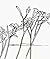 Edges by Robert Creeley