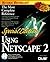 Using Netscape 2