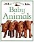 Baby Animals (Eye Openers)