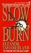 Slow Burn (Marti MacAlister...