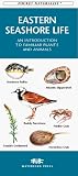 Eastern Seashore Life (Rhode Island to Georgia: An Introduction to Familiar Plants and Animals (Pocket Naturalist)