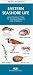 Eastern Seashore Life (Rhode Island to Georgia: An Introduction to Familiar Plants and Animals (Pocket Naturalist)