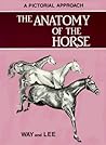 Anatomy of the Horse