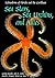 Sea Stars, Sea Urchins, and Allies: Echinoderms of Florida and the Caribbean