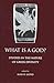 What is a God? Studies in t...